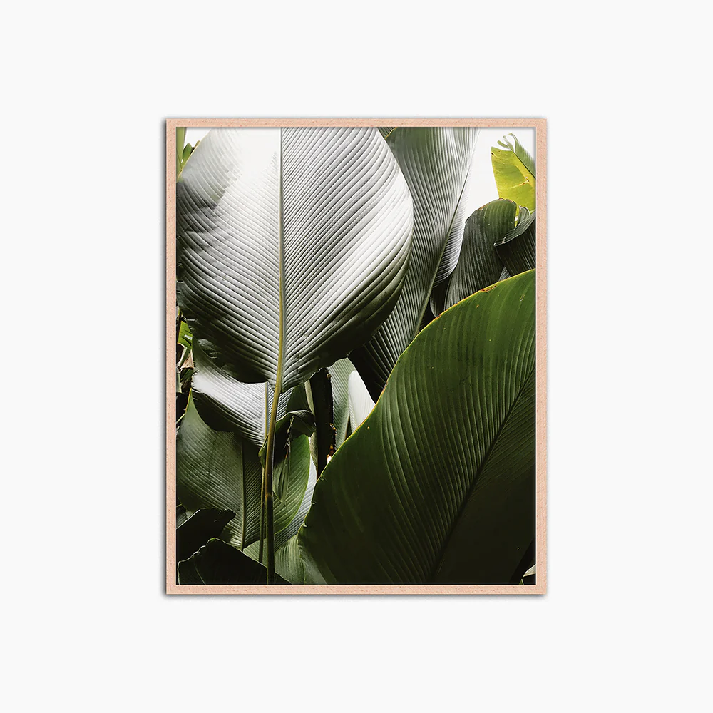Green Leaves - Print Muurdecoratie
